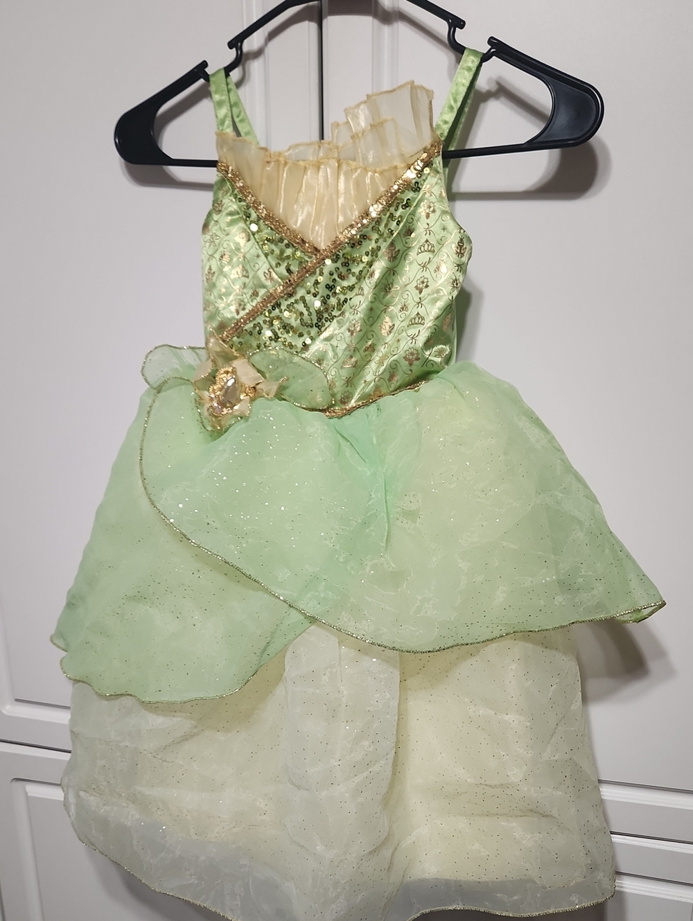 Disney Parks Tiana Costume Dress